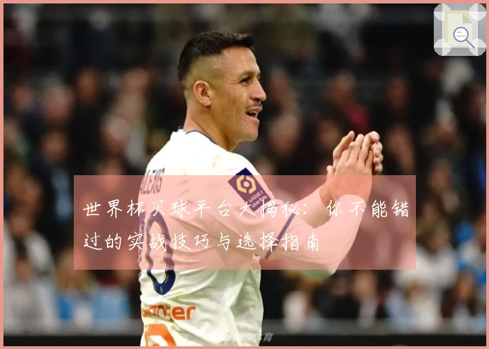 世界杯买球平台大揭秘：你不能错过的实战技巧与选择指南