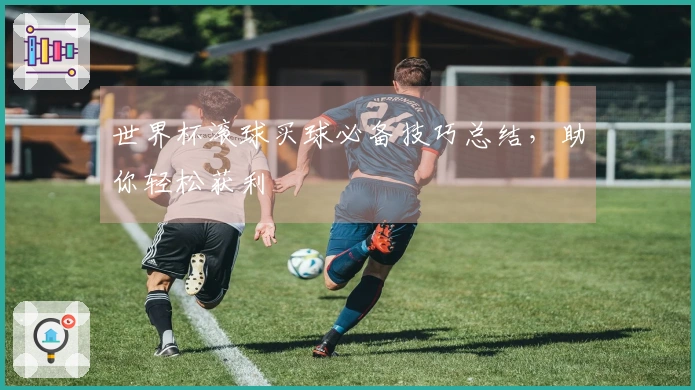 世界杯滚球买球必备技巧总结，助你轻松获利