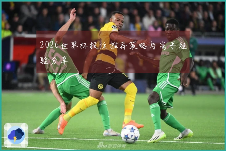 2026世界杯投注推荐策略与高手经验分享