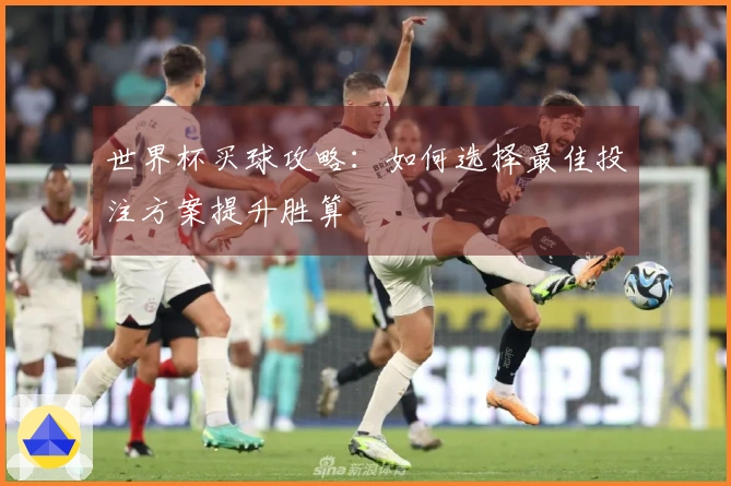 世界杯买球攻略：如何选择最佳投注方案提升胜算