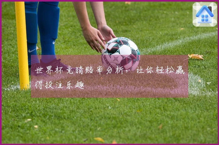 世界杯竞猜赔率分析，让你轻松赢得投注乐趣