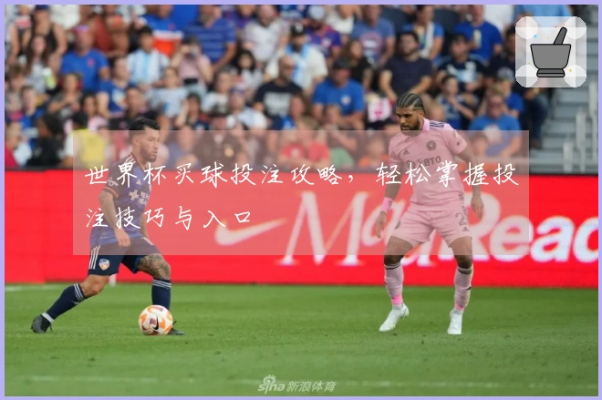 世界杯买球投注攻略，轻松掌握投注技巧与入口