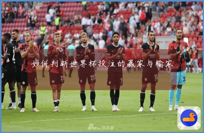 如何判断世界杯投注的赢家与输家