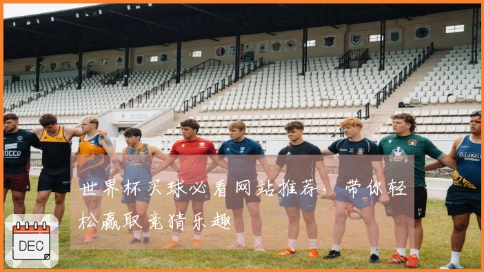 世界杯买球必看网站推荐，带你轻松赢取竞猜乐趣