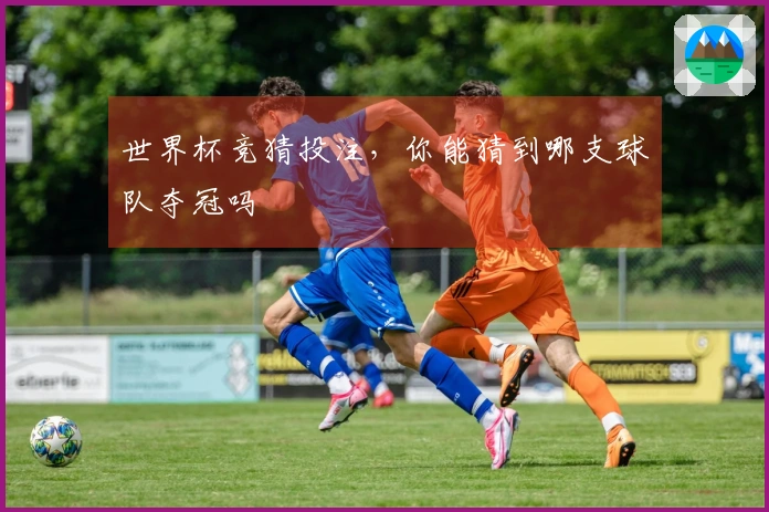 世界杯竞猜投注，你能猜到哪支球队夺冠吗