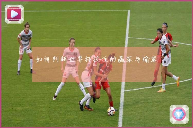 如何判断世界杯投注的赢家与输家