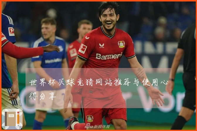 世界杯买球竞猜网站推荐与使用心得分享