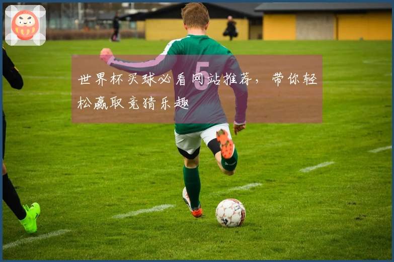世界杯买球必看网站推荐，带你轻松赢取竞猜乐趣