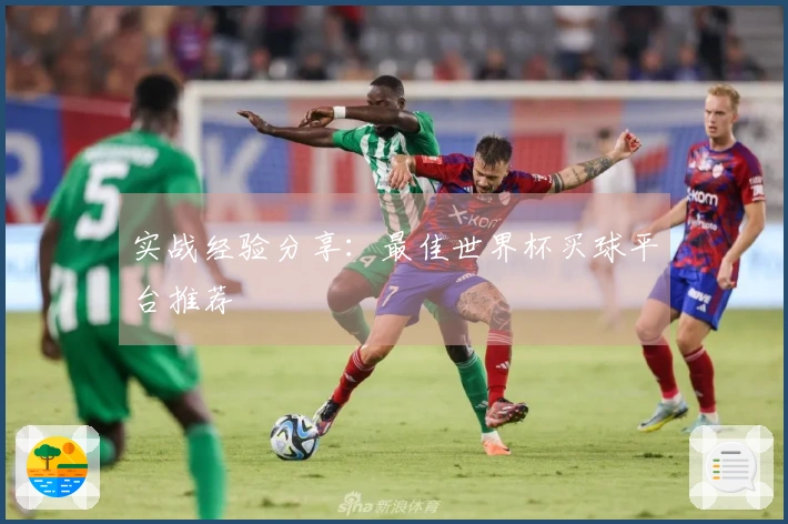 实战经验分享：最佳世界杯买球平台推荐