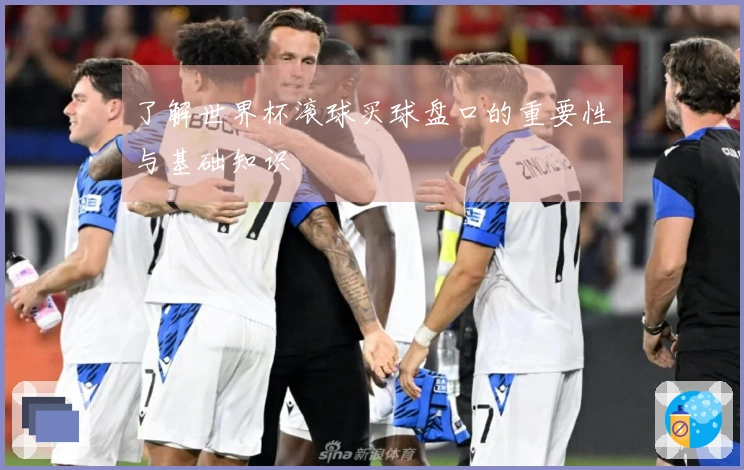 了解世界杯滚球买球盘口的重要性与基础知识