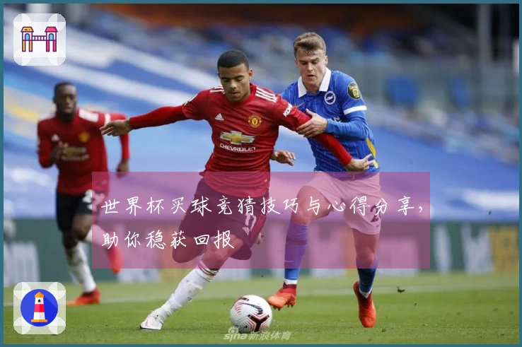 世界杯买球竞猜技巧与心得分享，助你稳获回报