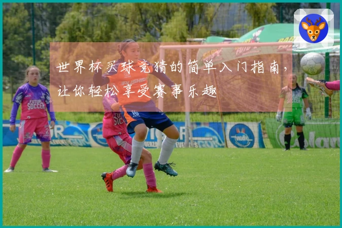 世界杯买球竞猜的简单入门指南，让你轻松享受赛事乐趣
