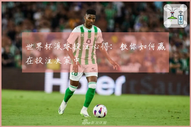 世界杯滚球投注心得：教你如何赢在投注决策中