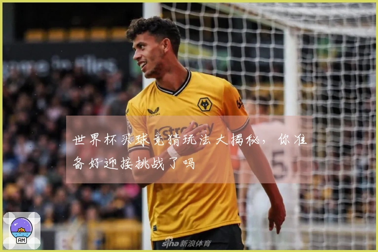 世界杯买球竞猜玩法大揭秘，你准备好迎接挑战了吗