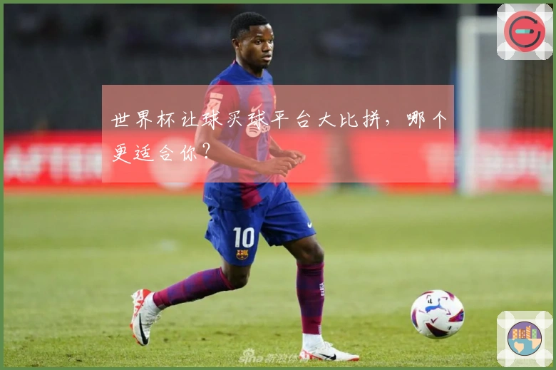 世界杯让球买球平台大比拼,哪个更适合你?