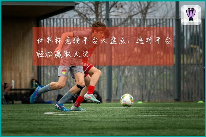 世界杯竞猜平台大盘点，选对平台轻松赢取大奖