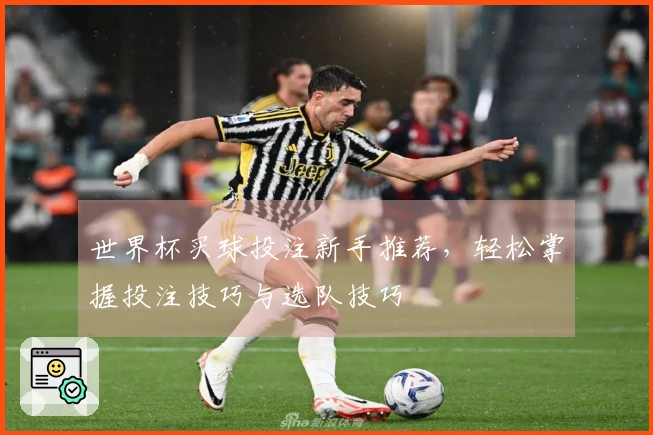 世界杯买球投注新手推荐，轻松掌握投注技巧与选队技巧