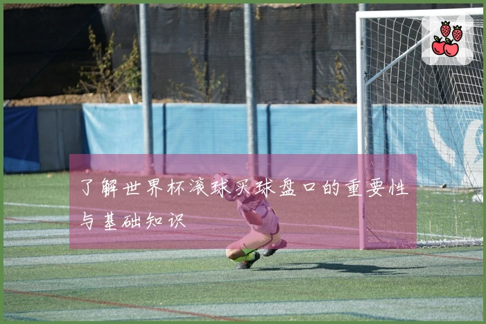 了解世界杯滚球买球盘口的重要性与基础知识