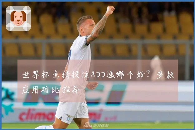 世界杯竞猜投注App选哪个好？多款应用对比推荐