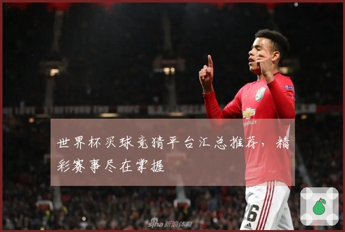 世界杯买球竞猜平台汇总推荐，精彩赛事尽在掌握