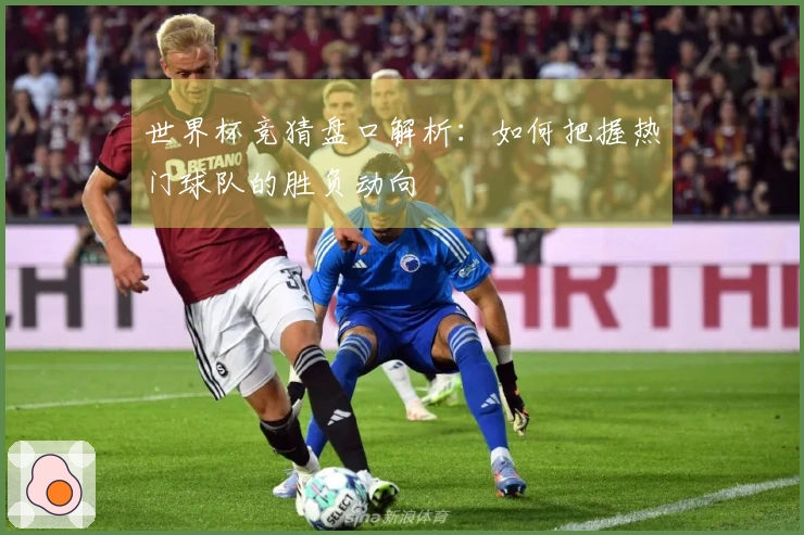 世界杯竞猜盘口解析：如何把握热门球队的胜负动向