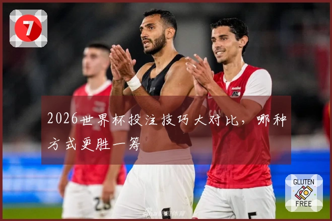2026世界杯投注技巧大对比，哪种方式更胜一筹